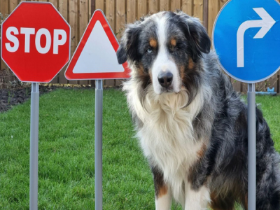 Verkeerstuin pakket, incl. uitgebreid lesplan